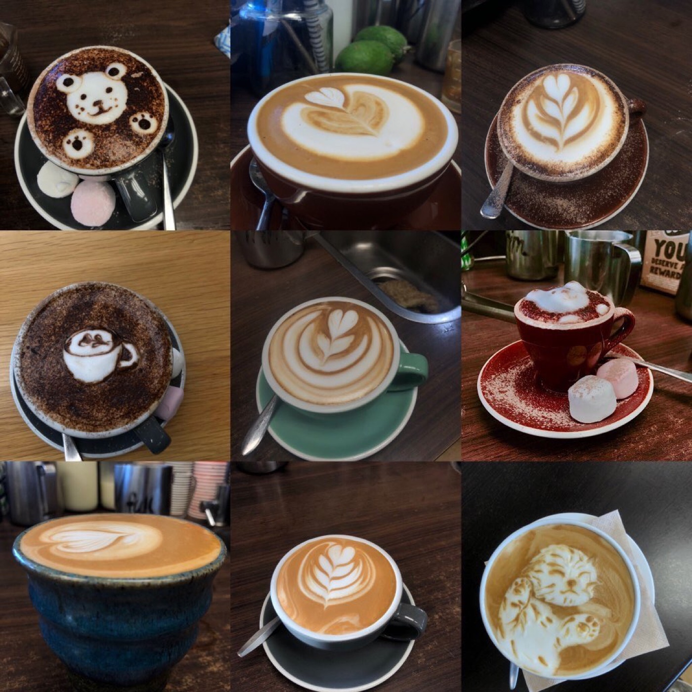 Nine cups of coffee with latte art: a bear, ferns, hearts and a cat